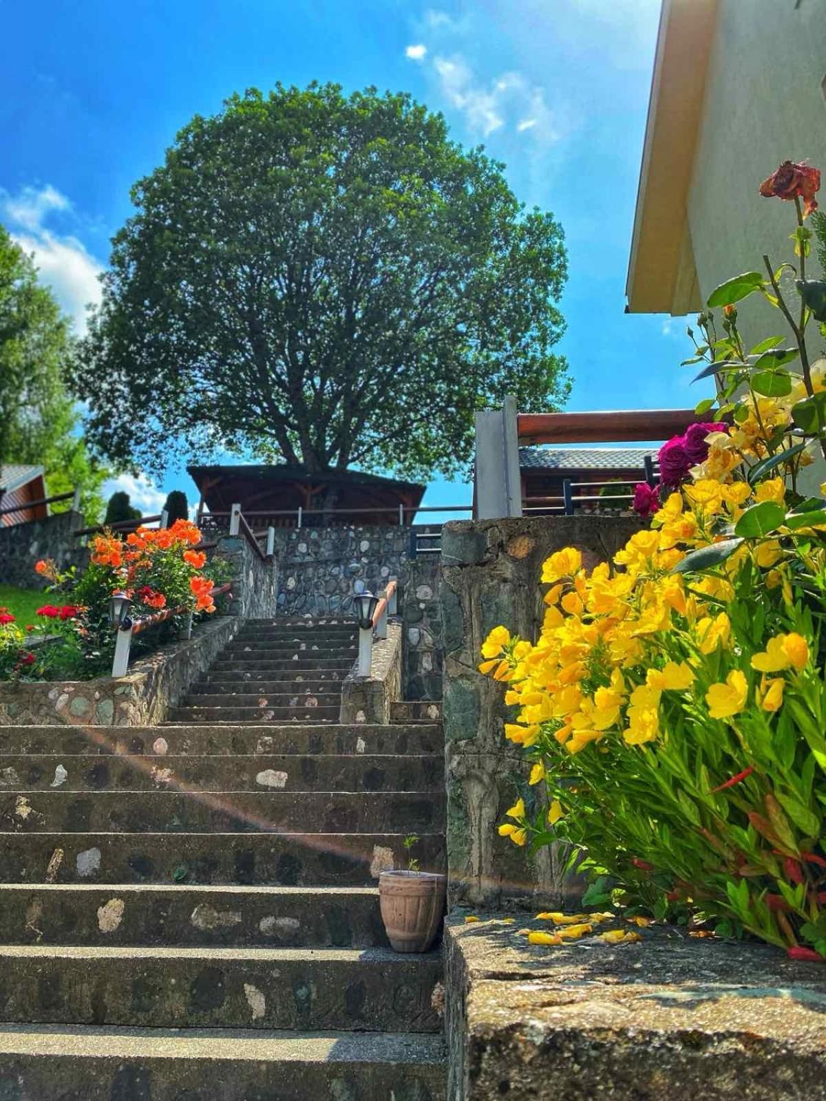 Motel Krstac Mojkovac Dış mekan fotoğraf